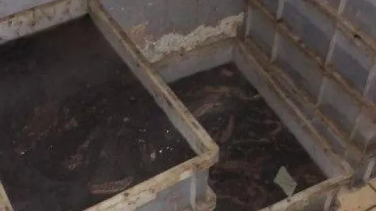 (Özel) Çanakkale'de kaçak deniz patlıcanı operasyonu