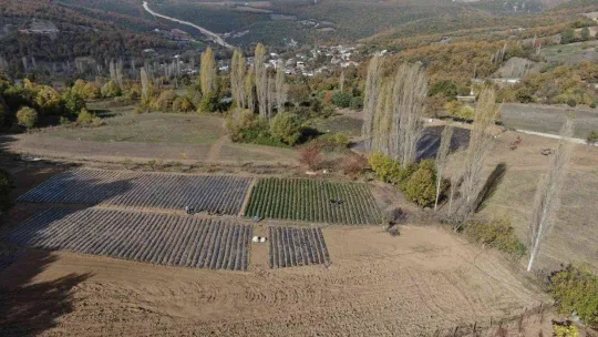 (Özel) Köylü kadınların hayatı bir fide ile değişti...Köyün tamamı 7 ay çilek üretiyor