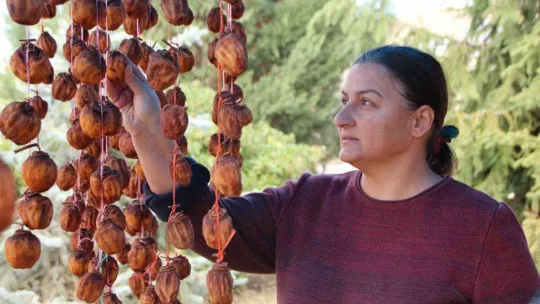 (ÖZEL) Kurutmaya bıraktıkları cennet hurmalarına adeta çocuk gibi bakıyorlar
