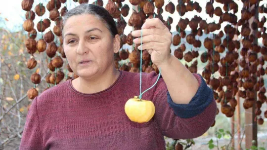 (ÖZEL) Kurutmaya bıraktıkları cennet hurmalarına adeta çocuk gibi bakıyorlar