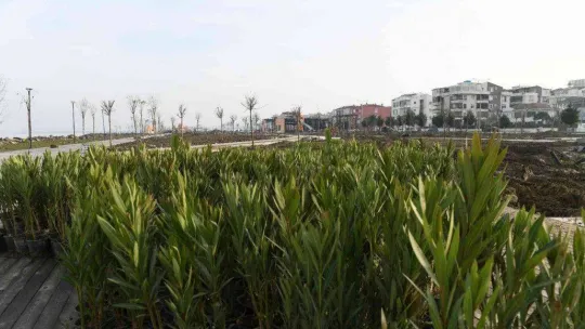 (Özel) Millet Bahçesi ve Sahil Projesi Lapseki'ye büyük değer katacak