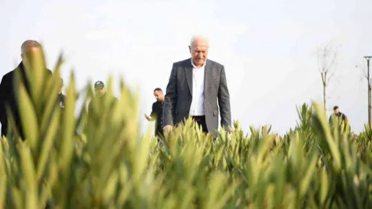 (Özel) Millet Bahçesi ve Sahil Projesi Lapseki'ye büyük değer katacak