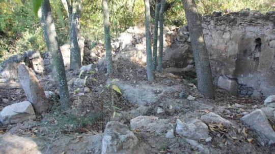 (ÖZEL) Tapduk Emre Türbesi'nin Bilecik'te olduğu iddiası