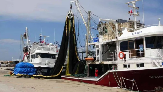 (Özel) Uzmanlarından flaş balık uyarısı