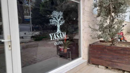 (Özel) Zeytinyağı üretiminde rekor bekleniyor