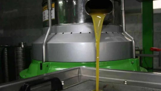 (Özel) Zeytinyağı üretiminde rekor bekleniyor