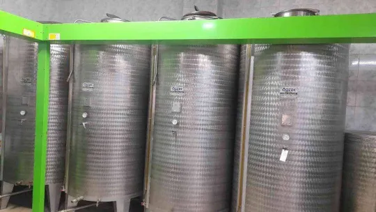 (Özel) Zeytinyağı üretiminde rekor bekleniyor