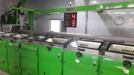 (Özel) Zeytinyağı üretiminde rekor bekleniyor