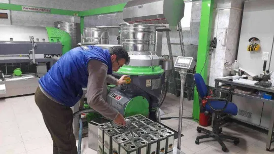 (Özel) Zeytinyağı üretiminde rekor bekleniyor