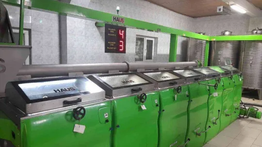 (Özel) Zeytinyağı üretiminde rekor bekleniyor