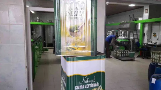 (Özel) Zeytinyağı üretiminde rekor bekleniyor