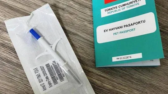 Parıldar'dan sahipli kedi ve köpekler için çip zorunluluğu uyarısı