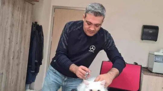Parıldar'dan sahipli kedi ve köpekler için çip zorunluluğu uyarısı