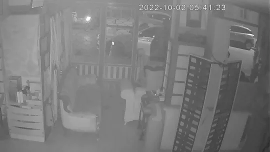 Park halindeki otomobilden konsol hırsızlığı kamerada