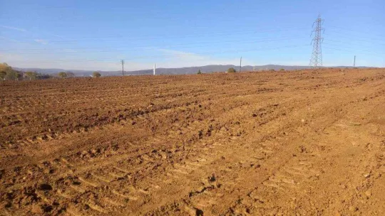 Pazaryeri Meslek Yükseokulu'nda bahçe düzenlenmesi çalışmaları