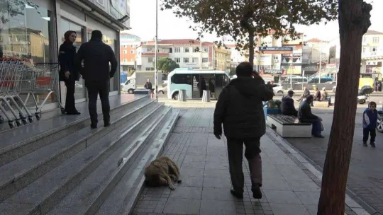 Pendik'te kaşar peyniri hırsızı marketten tekmelerle kovuldu