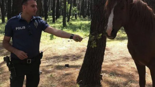 Pendik'te polis memuru evinde intihar etti