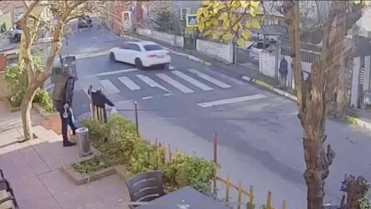 Pendik'te vicdansız sürücü kediyi ezip kaçtı, o anlar kameraya yansıdı