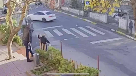 Pendik'te vicdansız sürücü kediyi ezip kaçtı, o anlar kameraya yansıdı