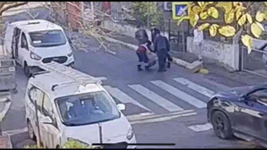 Pendik'te vicdansız sürücü kediyi ezip kaçtı, o anlar kameraya yansıdı