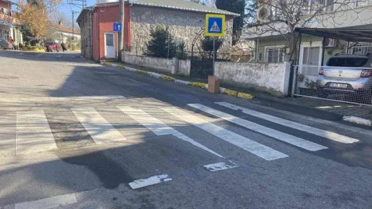 Pendik'te vicdansız sürücü kediyi ezip kaçtı, o anlar kameraya yansıdı