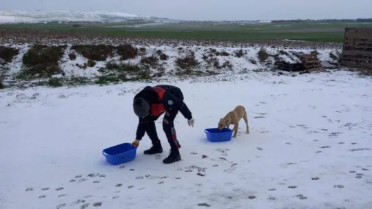 Silivri belediyesinden yoğun kar mesaisi