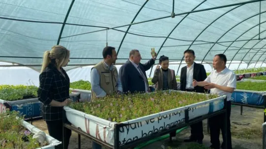 Çin'li heyetten Başkan Yılmaz'a 'Tarım' ziyareti