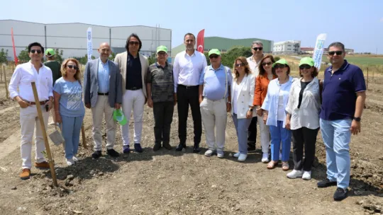 Silivri'de 5.100 adet yağlık zeytin fidanı toprakla buluştu