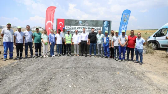 Silivri'de 5.100 adet yağlık zeytin fidanı toprakla buluştu