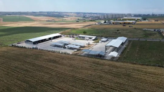 Canlı hayvan pazarı alıcı ile satıcıyı modern bir ortamda buluşturuyor