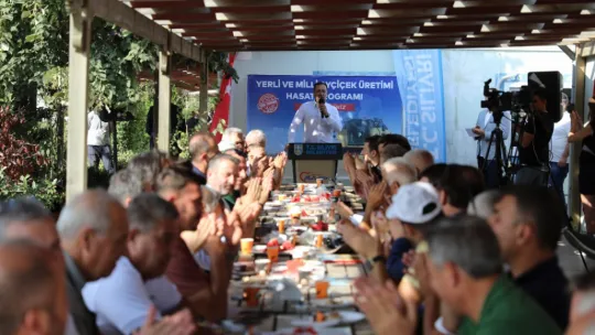 Başkan Yılmaz Milli Ayçiçek Hasadında Konuştu: 'Hayaldi Gerçek Oldu'