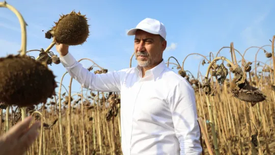 Başkan Yılmaz Milli Ayçiçek Hasadında Konuştu: 'Hayaldi Gerçek Oldu'