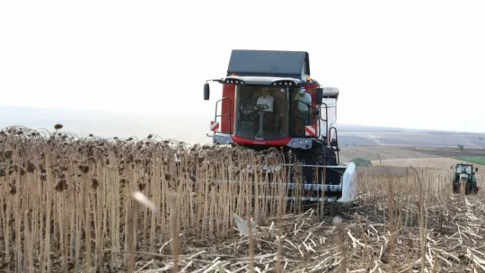 Başkan Yılmaz Milli Ayçiçek Hasadında Konuştu: 'Hayaldi Gerçek Oldu'