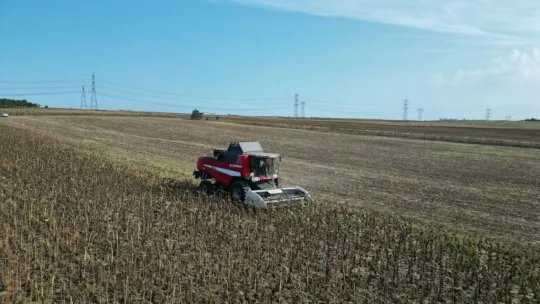 Başkan Yılmaz Milli Ayçiçek Hasadında Konuştu: 'Hayaldi Gerçek Oldu'