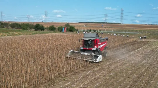 Başkan Yılmaz Milli Ayçiçek Hasadında Konuştu: 'Hayaldi Gerçek Oldu'