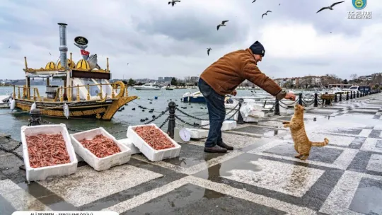 Silivri ulusal fotoğraf yarışması sonuçlandı