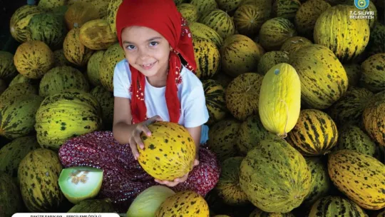 Silivri ulusal fotoğraf yarışması sonuçlandı