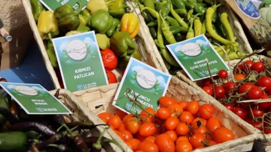 KKTC Cumhurbaşkanı Tatar'dan Silivri Belediyesine Tam Not