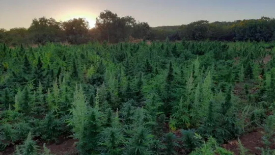 PKK terör örgütünün finans kaynağına bir darbe daha