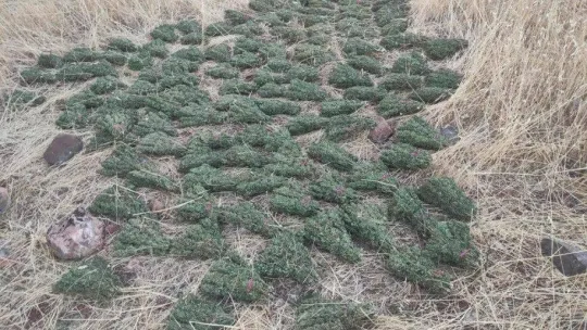 PKK terör örgütünün finans kaynağına bir darbe daha