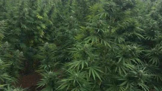 PKK terör örgütünün finans kaynağına bir darbe daha