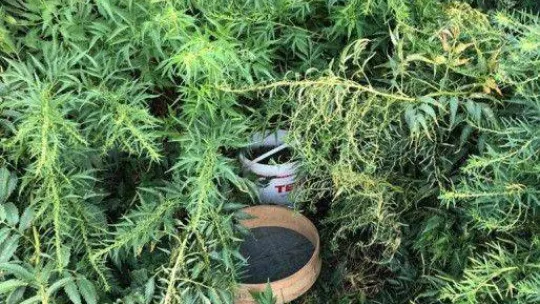 PKK terör örgütünün finans kaynağına bir darbe daha