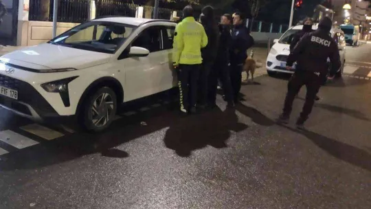 Polis uyuşturucu aradı, sokak köpekleri seyretti