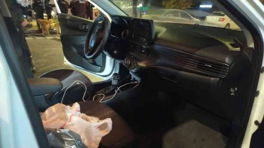 Polis uyuşturucu aradı, sokak köpekleri seyretti