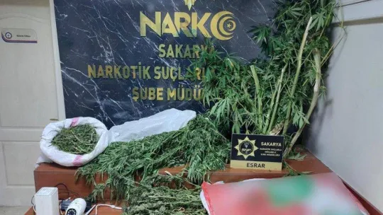 Polis uyuşturucu tacirlerine nefes aldırmıyor: Bir haftada 100 şüpheli yakalandı