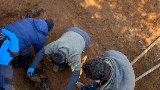 Polisin eylem hazırlığındaki teröristi yakalaması örgüt içi infazı ortaya çıkardı