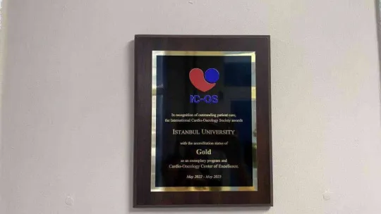 Prof. Dr. Tufan Tükek, 'İstanbul Tıp Fakültesi KardiyoOnkoloji Mükemmeliyet Merkezi Türkiye'de ilk'