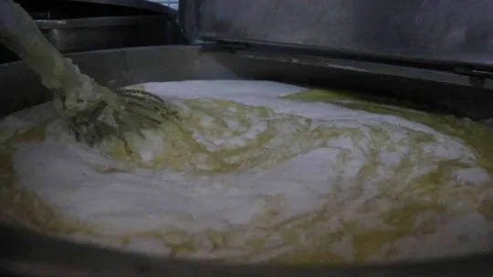 Propolis ile neredeyse eşdeğer olan şifa deposu: 'Boza'