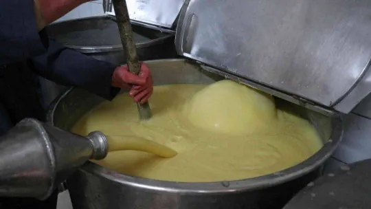 Propolis ile neredeyse eşdeğer olan şifa deposu: 'Boza'