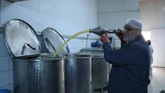 Propolis ile neredeyse eşdeğer olan şifa deposu: 'Boza'